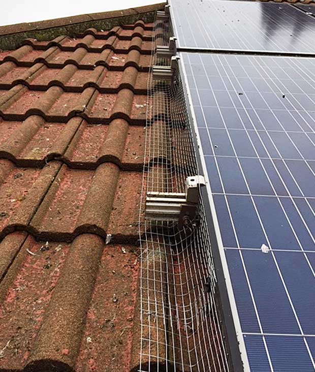 Solar panel birdproofing by Tim Slator and Co