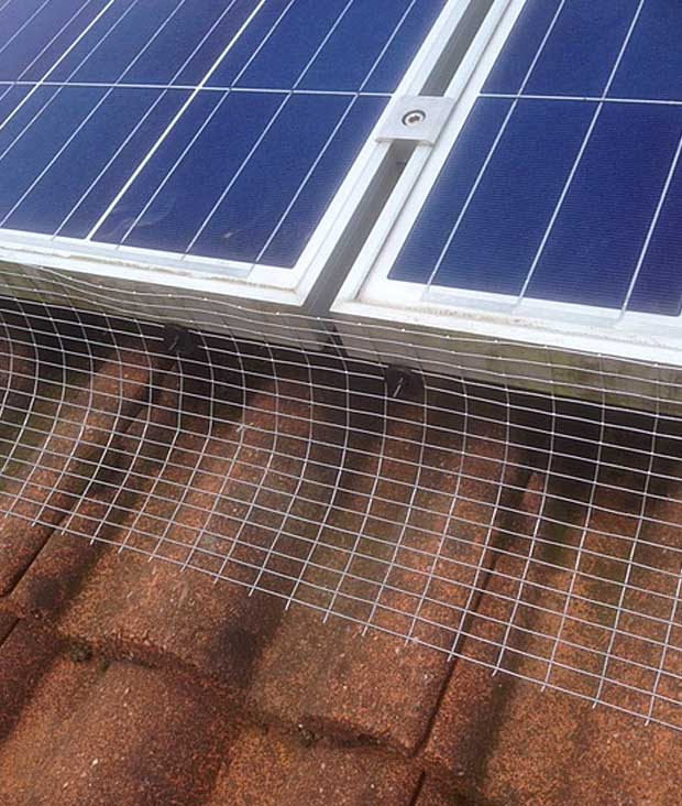 Solar panel birdproofing by Tim Slator and Co